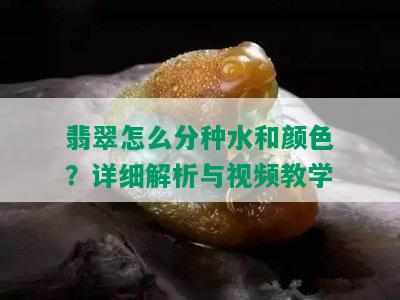 翡翠怎么分种水和颜色？详细解析与视频教学