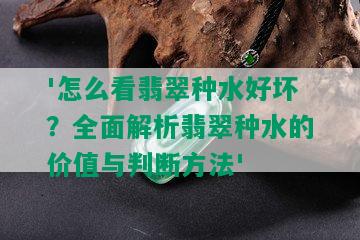 '怎么看翡翠种水好坏？全面解析翡翠种水的价值与判断方法'