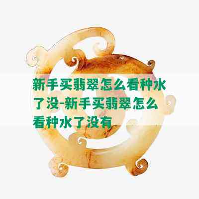 新手买翡翠怎么看种水了没-新手买翡翠怎么看种水了没有