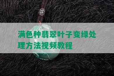 满色种翡翠叶子变绿处理方法视频教程