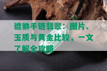 貔貅手链翡翠：图片、玉质与黄金比较，一文了解全攻略