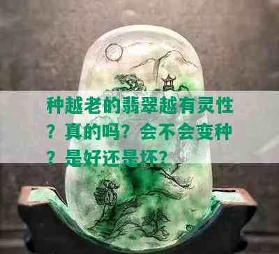 种越老的翡翠越有灵性？真的吗？会不会变种？是好还是坏？