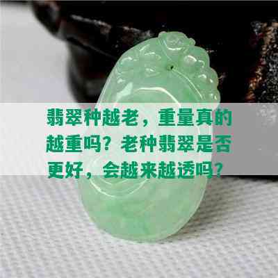 翡翠种越老，重量真的越重吗？老种翡翠是否更好，会越来越透吗？