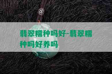 翡翠糯种吗好-翡翠糯种吗好养吗