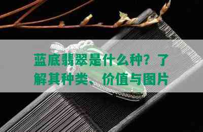 蓝底翡翠是什么种？了解其种类、价值与图片