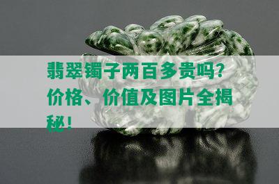 翡翠镯子两百多贵吗？价格、价值及图片全揭秘！