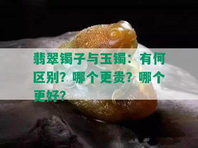 翡翠镯子与玉镯：有何区别？哪个更贵？哪个更好？