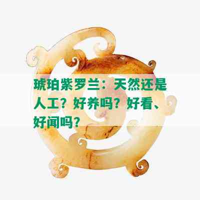 琥珀紫罗兰：天然还是人工？好养吗？好看、好闻吗？