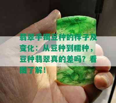 翡翠手镯豆种的样子及变化：从豆种到糯种，豆种翡翠真的差吗？看图了解！