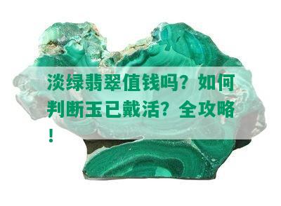 淡绿翡翠值钱吗？如何判断玉已戴活？全攻略！