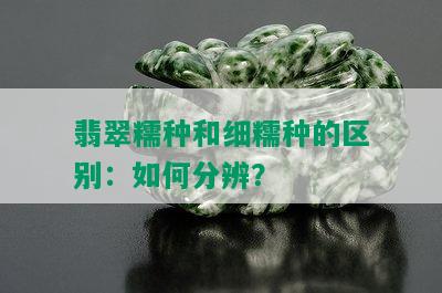 翡翠糯种和细糯种的区别：如何分辨？