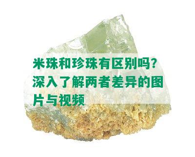 米珠和珍珠有区别吗？深入了解两者差异的图片与视频