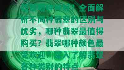 翡翠哪种种好？全面解析不同种翡翠的区别与优劣，哪种翡翠最值得购买？翡翠哪种颜色更受欢迎？深入了解翡翠各种类别的特点