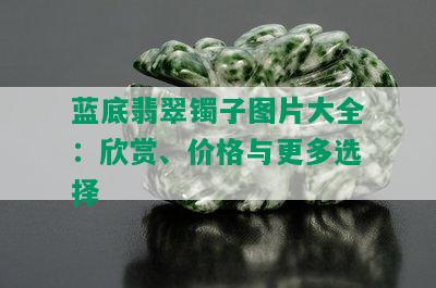 蓝底翡翠镯子图片大全：欣赏、价格与更多选择