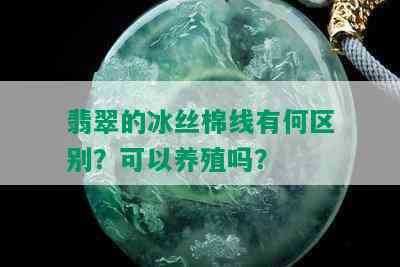 翡翠的冰丝棉线有何区别？可以养殖吗？