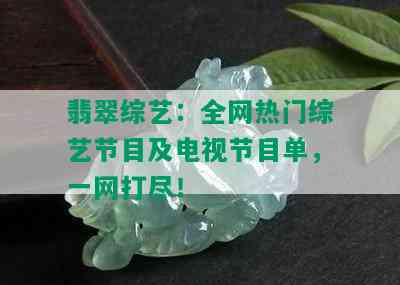 翡翠综艺：全网热门综艺节目及电视节目单，一网打尽！