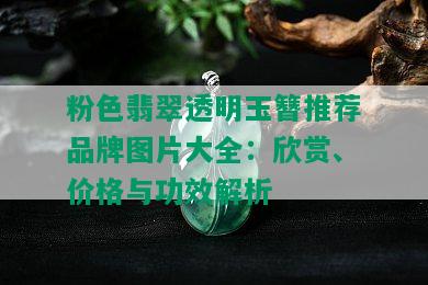 粉色翡翠透明玉簪推荐品牌图片大全：欣赏、价格与功效解析