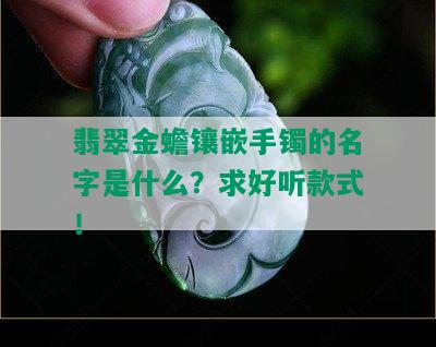 翡翠金蟾镶嵌手镯的名字是什么？求好听款式！