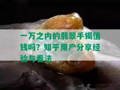 一万之内的翡翠手镯值钱吗？知乎用户分享经验与看法