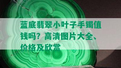 蓝底翡翠小叶子手镯值钱吗？高清图片大全、价格及欣赏