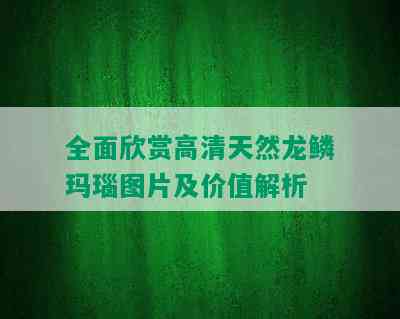 全面欣赏高清天然龙鳞玛瑙图片及价值解析