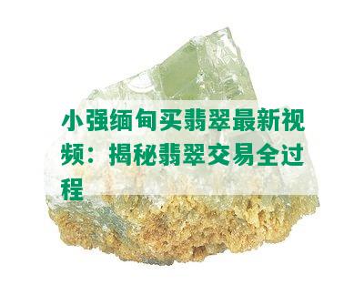 小强缅甸买翡翠最新视频：揭秘翡翠交易全过程