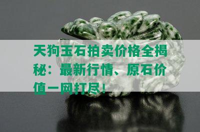 天狗玉石拍卖价格全揭秘：最新行情、原石价值一网打尽！