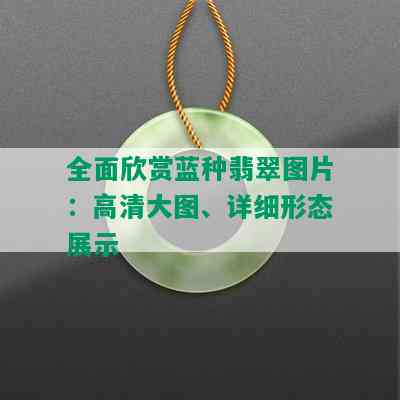 全面欣赏蓝种翡翠图片：高清大图、详细形态展示