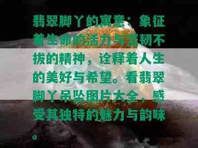 翡翠脚丫的寓意：象征着生命的活力与坚韧不拔的精神，诠释着人生的美好与希望。看翡翠脚丫吊坠图片大全，感受其独特的魅力与韵味。