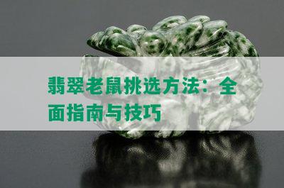 翡翠老鼠挑选方法：全面指南与技巧