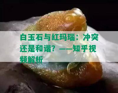 白玉石与红玛瑙：冲突还是和谐？——知乎视频解析