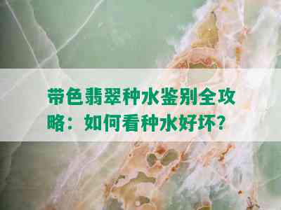 带色翡翠种水鉴别全攻略：如何看种水好坏？