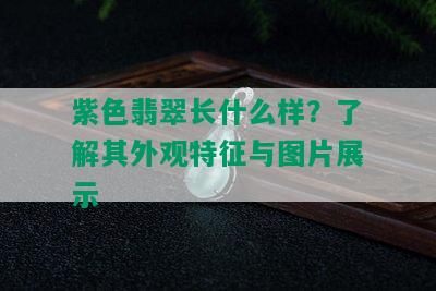 紫色翡翠长什么样？了解其外观特征与图片展示