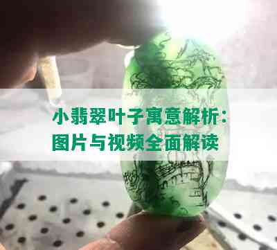 小翡翠叶子寓意解析：图片与视频全面解读