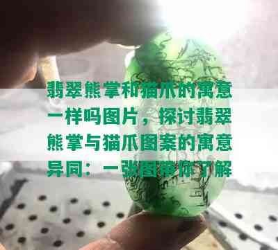 翡翠熊掌和猫爪的寓意一样吗图片，探讨翡翠熊掌与猫爪图案的寓意异同：一张图带你了解