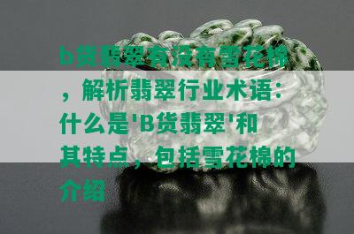 b货翡翠有没有雪花棉，解析翡翠行业术语：什么是'B货翡翠'和其特点，包括雪花棉的介绍