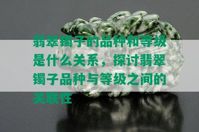 翡翠镯子的品种和等级是什么关系，探讨翡翠镯子品种与等级之间的关联性