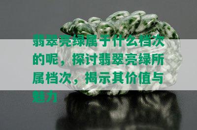 翡翠亮绿属于什么档次的呢，探讨翡翠亮绿所属档次，揭示其价值与魅力