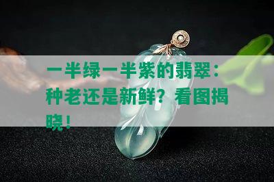 一半绿一半紫的翡翠：种老还是新鲜？看图揭晓！