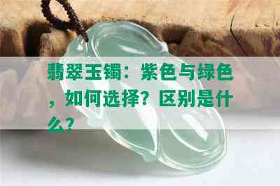 翡翠玉镯：紫色与绿色，如何选择？区别是什么？