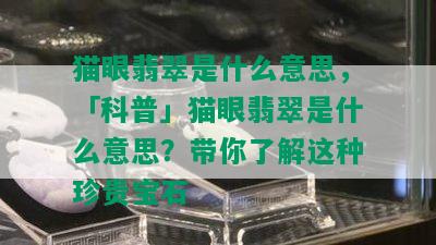 猫眼翡翠是什么意思，「科普」猫眼翡翠是什么意思？带你了解这种珍贵宝石