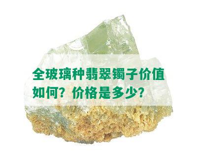 全玻璃种翡翠镯子价值如何？价格是多少？