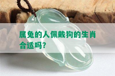 属兔的人佩戴狗的生肖合适吗？