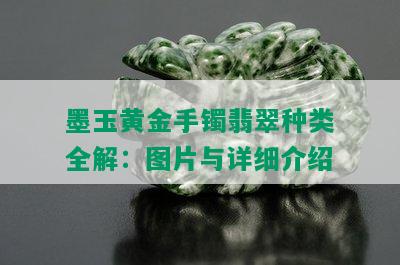 墨玉黄金手镯翡翠种类全解：图片与详细介绍