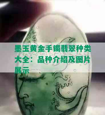 墨玉黄金手镯翡翠种类大全：品种介绍及图片展示