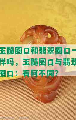 玉髓圈口和翡翠圈口一样吗，玉髓圈口与翡翠圈口：有何不同？