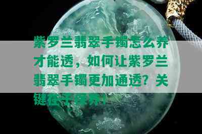 紫罗兰翡翠手镯怎么养才能透，如何让紫罗兰翡翠手镯更加通透？关键在于保养！