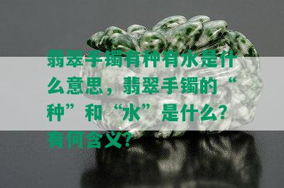 翡翠手镯有种有水是什么意思，翡翠手镯的“种”和“水”是什么？有何含义？