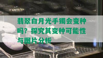 翡翠白月光手镯会变种吗？探究其变种可能性与图片分析