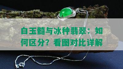 白玉髓与冰种翡翠：如何区分？看图对比详解